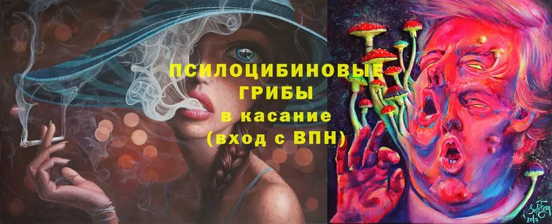 Псилоцибиновые грибы Cubensis  Городец 